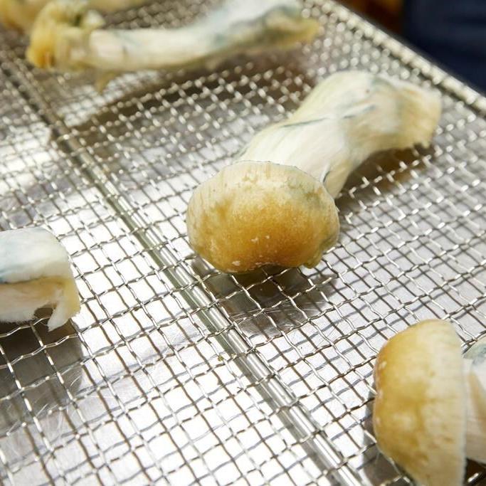 Vancouver magic mushroom stores raided by police are reopening
